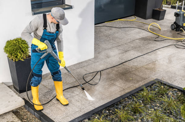 Best Exterior Home Cleaning  in Montrose, MI